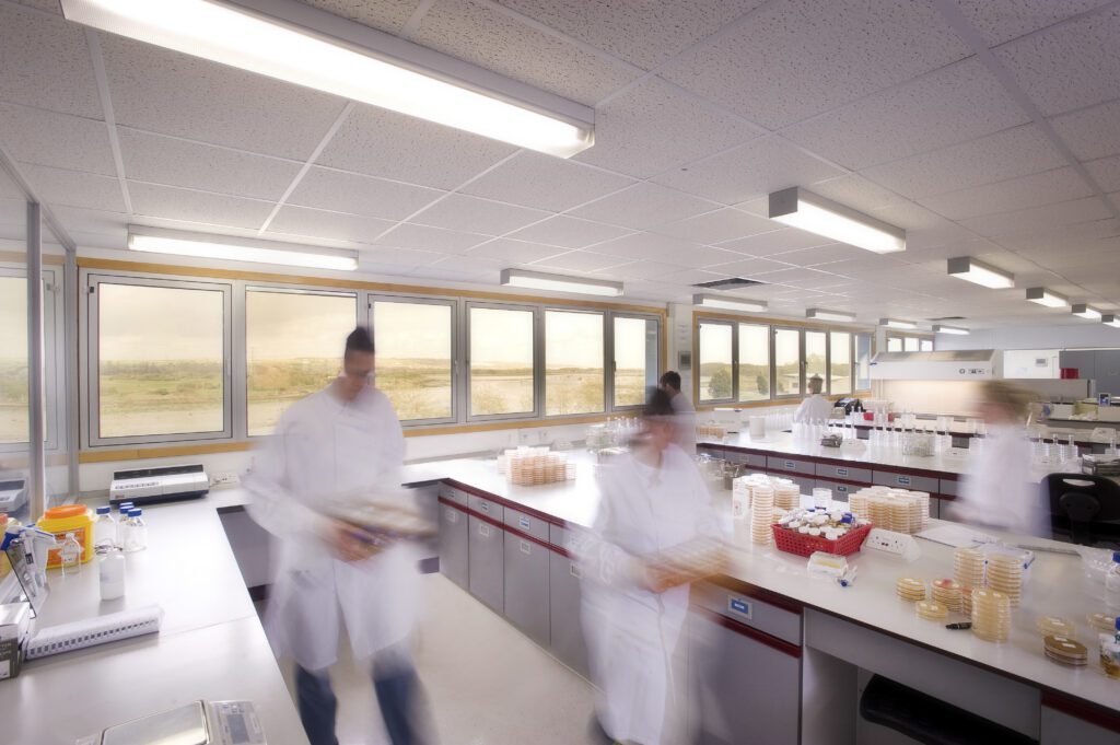 Microbiology laboratory at Cormica