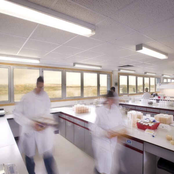 Microbiology laboratory at Cormica