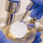 The story behind the name Cormica