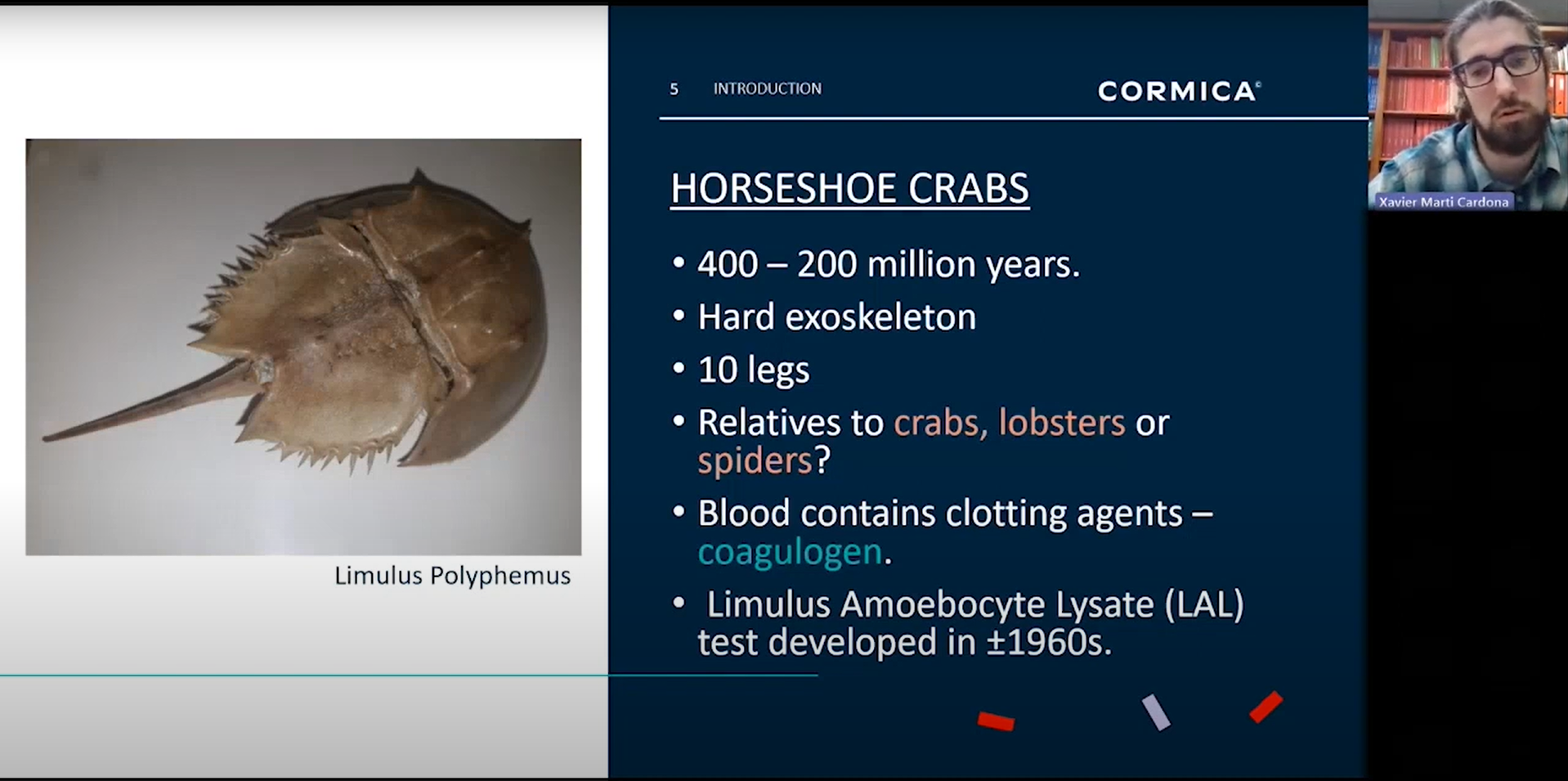 How do Horseshoe Crabs Help Detect Endotoxins?