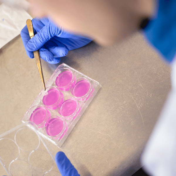 Biocompatibility Cytotoxicity Testing