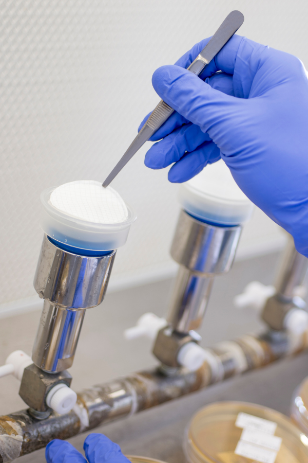 Preservative Efficacy Testing