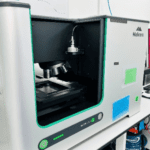 Morphology 4-ID Cormica