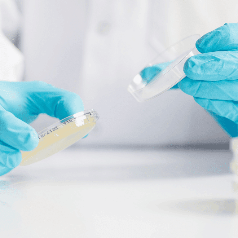 Commercial Microbe Testing Microbial Enumeration Testing - Cormica Pharma & Med Device Testing