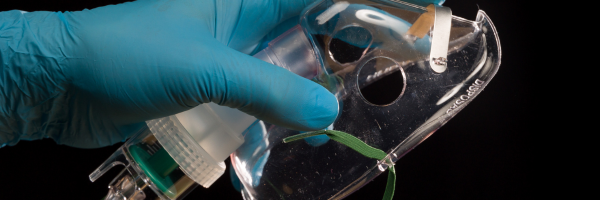 Gloved hand holding a transparent medical oxygen mask used in breathing gas delivery.