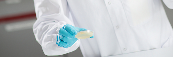 Laboratory scientist wearing a white lab coat and blue gloves holds a petri dish containing culture media in a pharmaceutical microbiology laboratory, illustrating antimicrobial effectiveness and quality control testing.