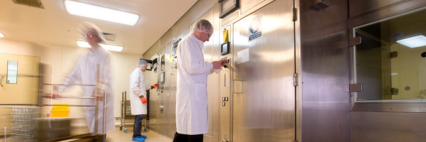 Scientists working in a pharmaceutical sterility testing laboratory with stainless steel isolators and controlled cleanroom equipment.