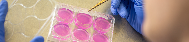 BET White Paper Inner Banner