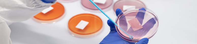 EVM White Paper Inner Banner