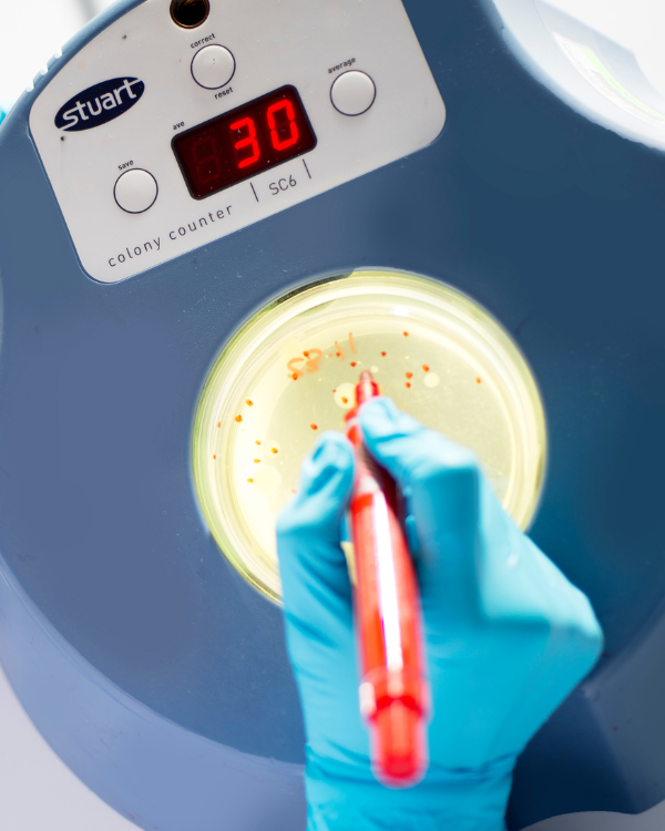 Microbial Enumeration Portrait Image
