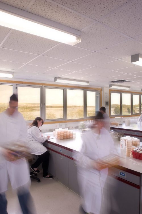 Wickham Micro microbiology testing excellence