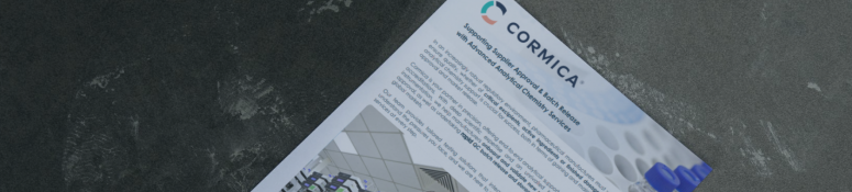 batch release Flyer Mockup1